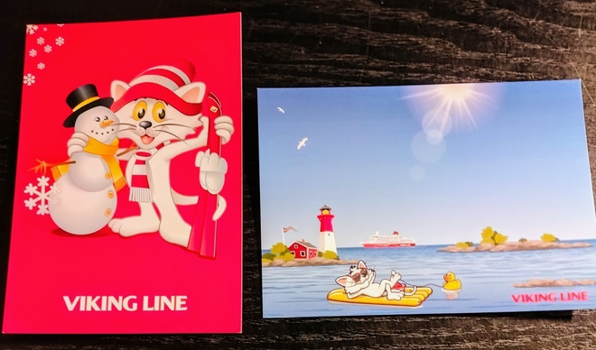 Viking Line, Ville Viikinki kortti