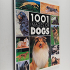 Rh Value Publishing ym. : 1,001 Images of Dogs - A Visual... - pikkukuva 1
