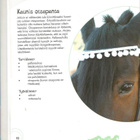 Helene S. Lundberg <> Heppahöperön puuhavinkit - pikkukuva 4