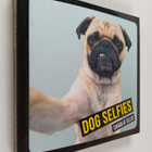 Charlie Ellis : Dog selfies - pikkukuva 1