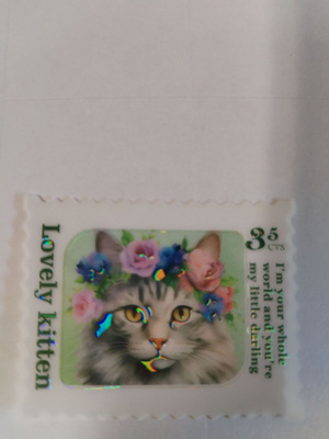 Kissa tarra.