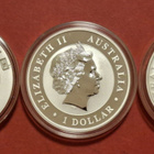 3 x 1 oz hopeaa: Panda + Koala + Kiivi lintu. (KD4). - pikkukuva 2