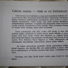 LAKEUS NAURAA - pikkukuva 3