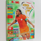 Africa Stars 2008 : Afrikan 250 suurinta tähteä - pikkukuva 1