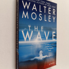 Walter Mosley : The Wave - pikkukuva 1