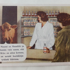 Mansikki mainostaa Milkka-kermaa,  väripk, p. 1958 - pikkukuva 1