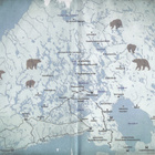 Mikko Kamula: Kalevan pojat (Metsän kansa 4) kirjastopoisto - pikkukuva 4