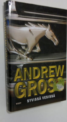 Andrew Gross : Syvissä vesissä