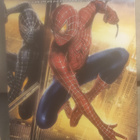 Spider-Man 3 - pikkukuva 1