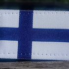 SA - Tarrallinen lippu. Koko - 50*30 mm. Hyväkuntoinen. - pikkukuva 3