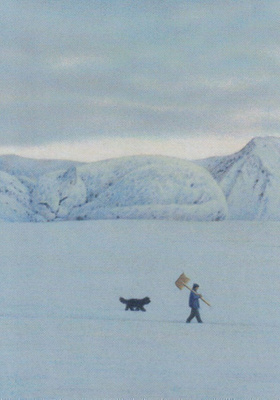 Quint Buchholz: Talvikävely, lumikissa