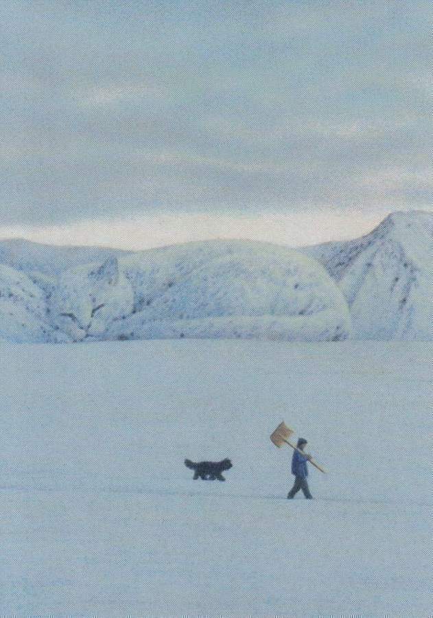 Quint Buchholz: Talvikävely, lumikissa