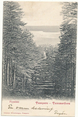TAMPERE, PYYNIKKI - kulk. 1902