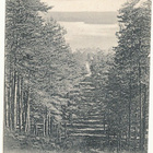 TAMPERE, PYYNIKKI - kulk. 1902 - pikkukuva 1
