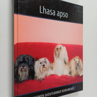 Lhasa apso - pikkukuva 1