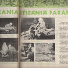 Maaseudun joulu, Maaseudun nuorten liitto 1951,1954, 1955,K3 - pikkukuva 2