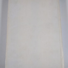 Vaasan lyseo 1880-1980 - pikkukuva 2