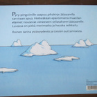 Armelle Boy: Matka Jääsaarelle - pikkukuva 2