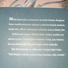Bo Carpelan : kesän varjot - pikkukuva 2