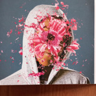 Anti-Flag CD American Spring - pikkukuva 5