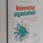 Frederic Laloux : Reinventing organizations : an illustra... - pikkukuva 1