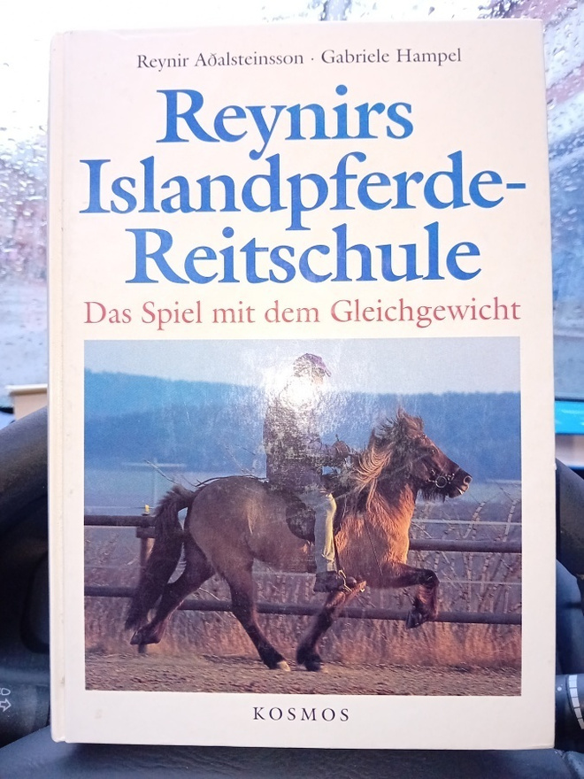 Reynirs Islandpferde-Reitschule ( SIS POSTIKULU )