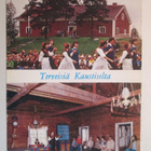 KULKENUT KAUSTINEN PELIMANNITALO FESTIVAALIT - pikkukuva 1