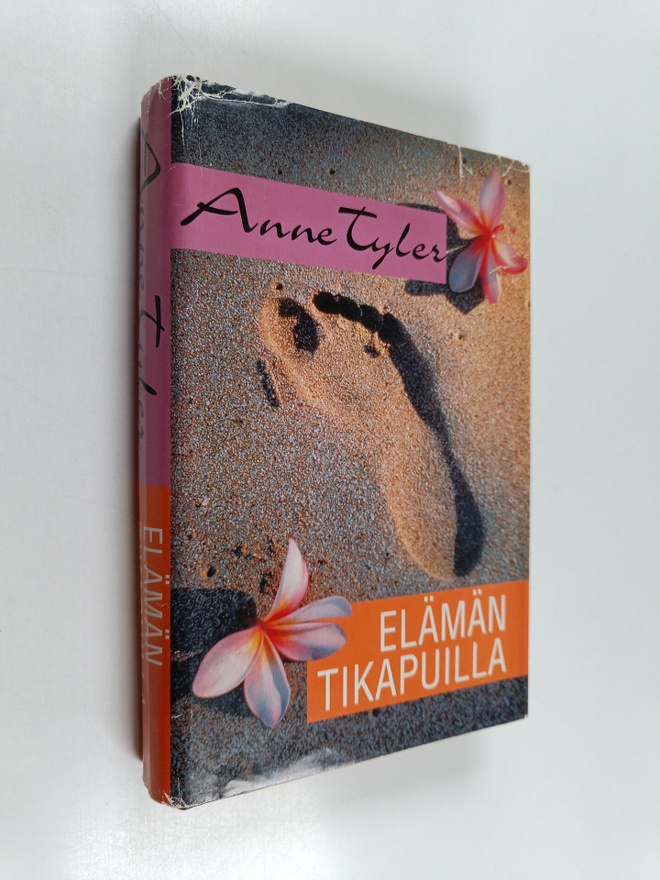 Anne Tyler : Elämän tikapuilla