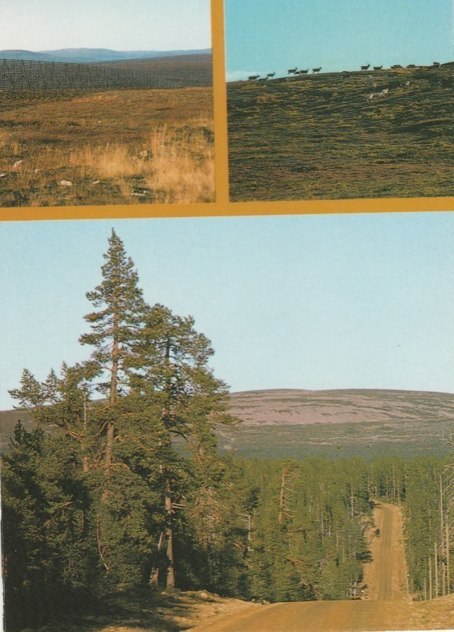 Postikortti, SAARISELKÄ, Erämaa-alue, erikoisleima