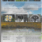 Tarinoita metsästä (DVD) - pikkukuva 2
