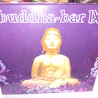 2CD buddha-bar IX by Ravin ( SIS POSTIKULU ) - pikkukuva 1
