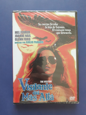 The Visitor DVD