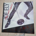 Joe Ely LP Dig All Night - pikkukuva 1