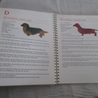 ALL ( 160 ) BREED DOG GROOMING - pikkukuva 3