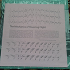 Kendl Winter – The Mechanics Of Hovering Flight  VINYYLI - pikkukuva 4