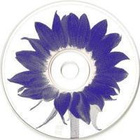 Various • Kiss FM Hits 6 CD - pikkukuva 4