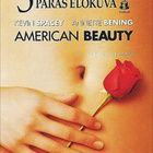 American Beauty DVD - pikkukuva 1