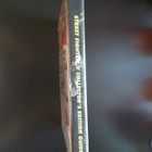 Street Fighter V Collector's Edition Guide - pikkukuva 3