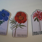 Jääkaappimagneetti 3 kpl Chelsea Flower Show - pikkukuva 1