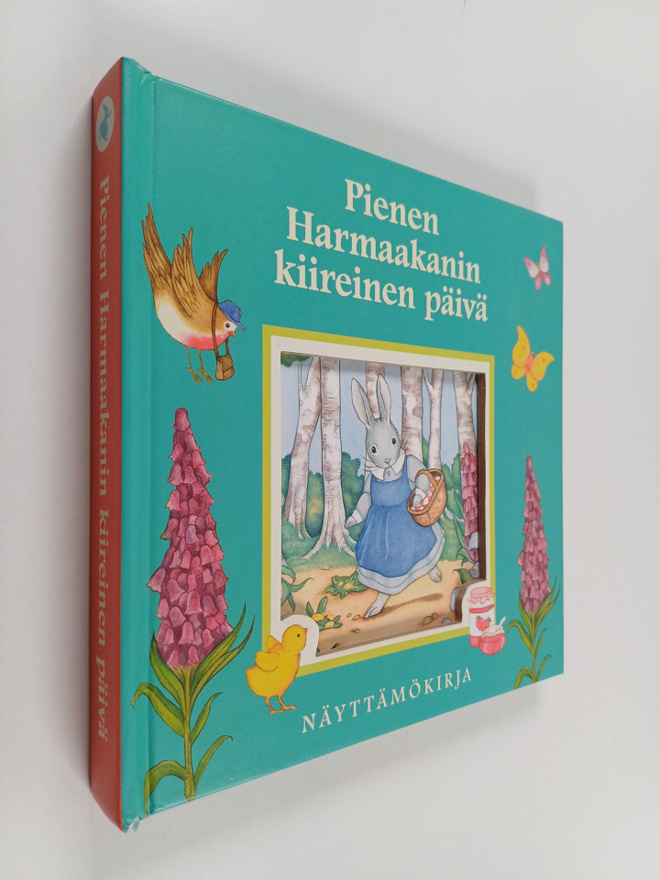 Alice Corrie : Pienen Harmaakanin kiireinen päivä