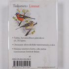 Nick Hammond : Linnut - pikkukuva 2