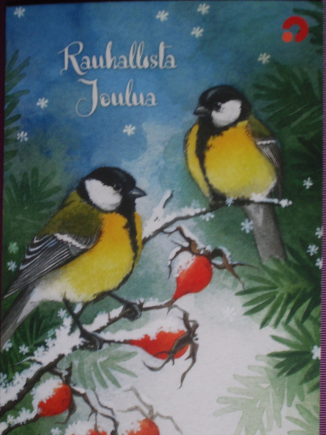 Talitiaiset ruusunmarjapensaan oksalla
