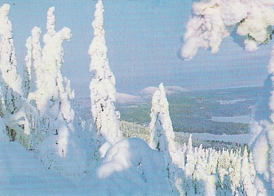 Postikortti, UKKO-KOLI, Tykkylunta