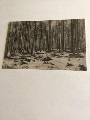 Saarijärvi
