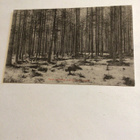 Saarijärvi - pikkukuva 1