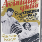 Avioliittoyhtiö (DVD) - pikkukuva 1