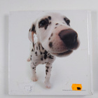 Vera Olbricht : The dog artlist collection - pikkukuva 2