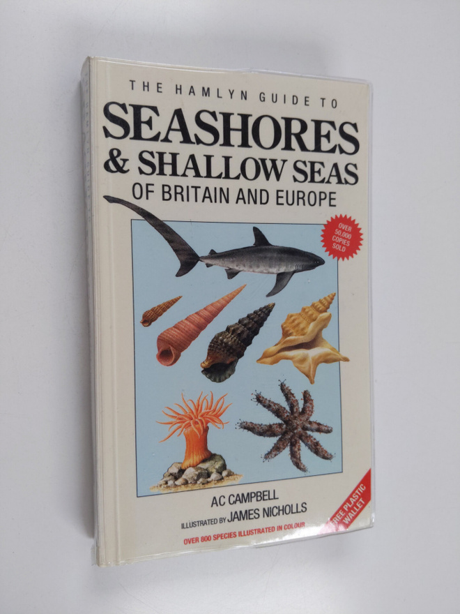 Andrew C. Campbell : Seashores and Shallow Seas