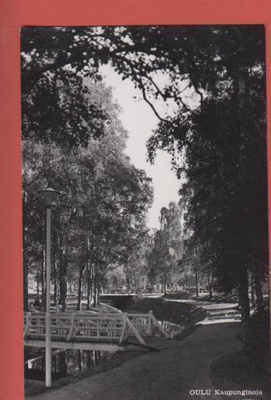 Oulu Kaupunginoja