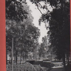 Oulu Kaupunginoja - pikkukuva 1
